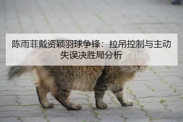 陈雨菲戴资颖羽球争锋：拉吊控制与主动失误决胜局分析